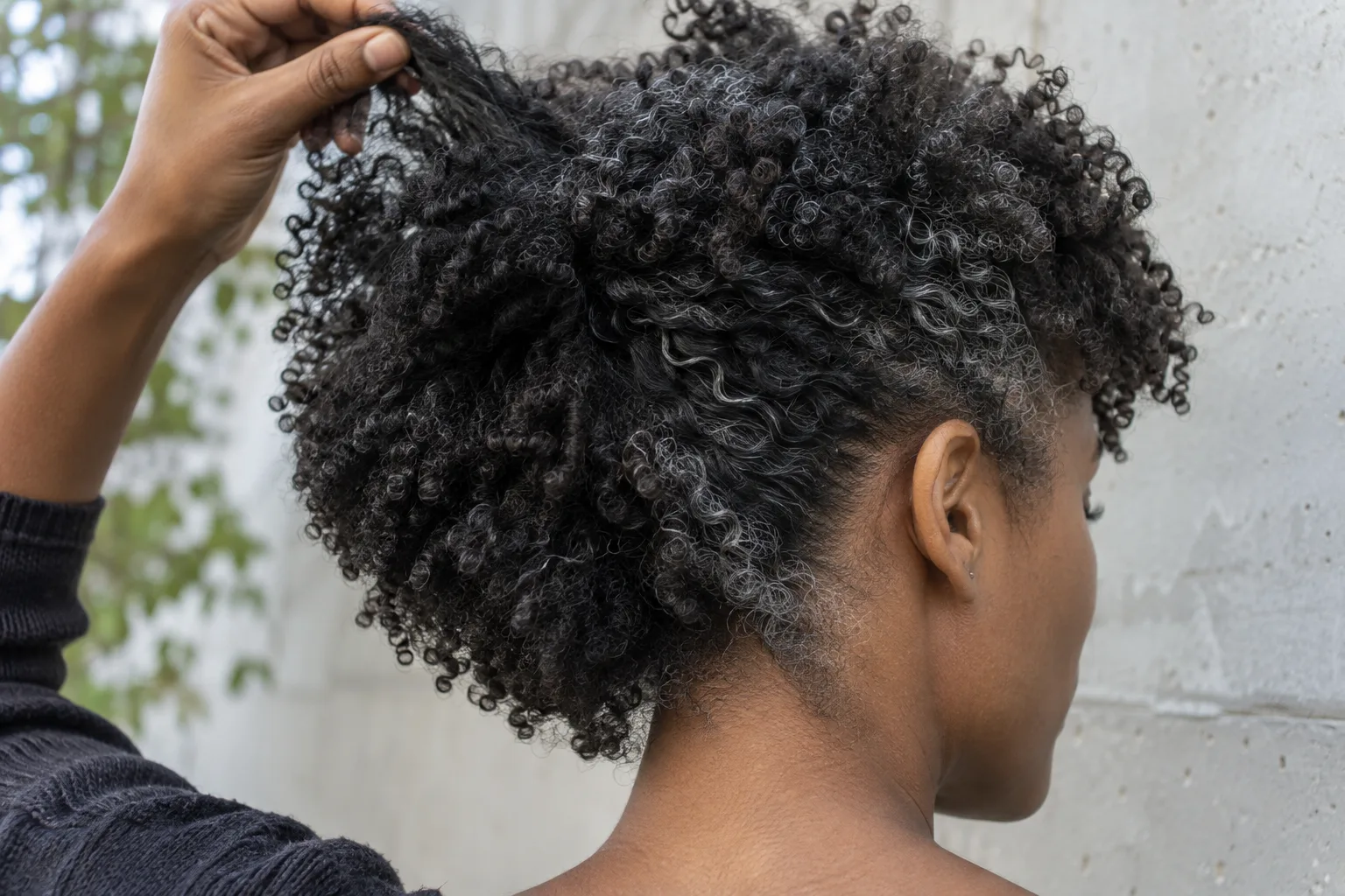 Close rear detail of a young Black woman's natural coils with scattered silver strands across the crown and temple